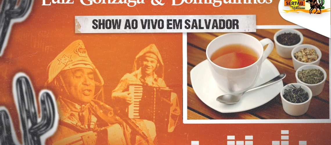 ANIMAÇÃO SHOW AO VIVO EM SALVADOR MUSICA 12 PARTE 12