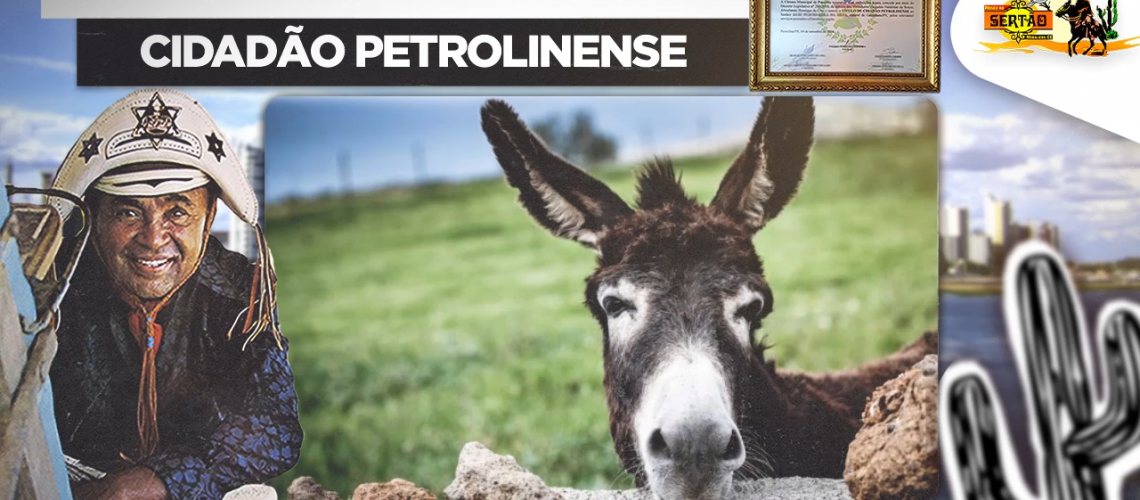 Capa Show Ao Vivo Cidadão Petrolinense 1977 Parte 08