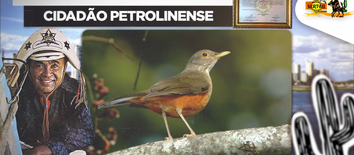 Capa Show Ao Vivo Cidadão Petrolinense 1977 Parte 09