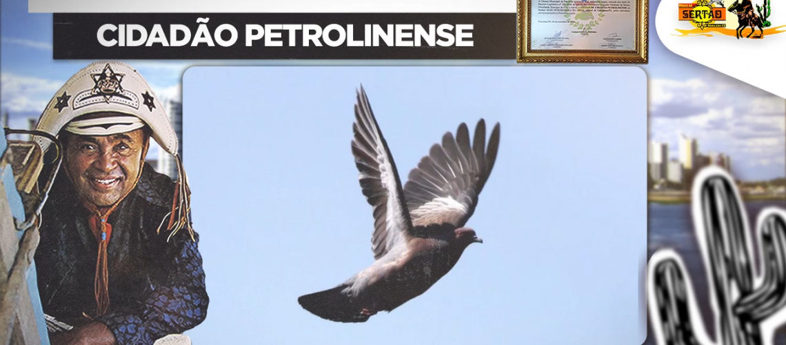 Capa Show Ao Vivo Cidadão Petrolinense 1977 Parte 10