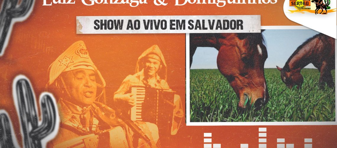 Show Ao Vivo em Salvador Parte 11 Música 11